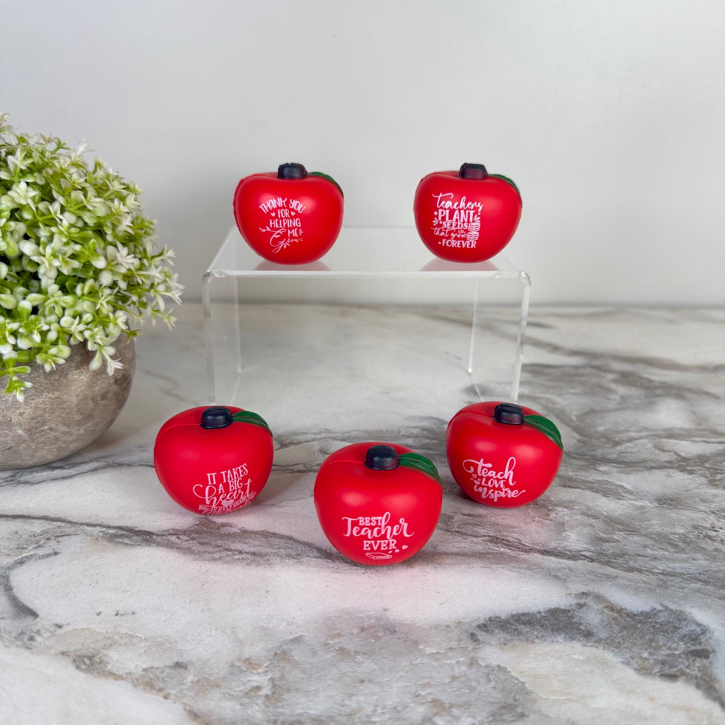 Stress Ball Toy - Apple Teach Teacher